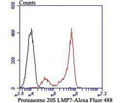 PSMB8 Antibody in Flow Cytometry (Flow)