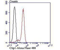 BCL11A Antibody in Flow Cytometry (Flow)
