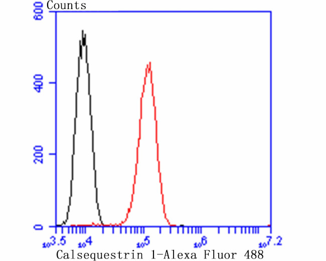 Calsequestrin Antibody in Flow Cytometry (Flow)