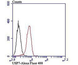 USP7 Antibody in Flow Cytometry (Flow)