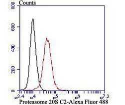 PSMA1 Antibody in Flow Cytometry (Flow)