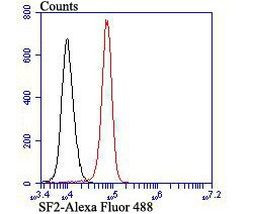 SRSF1 Antibody in Flow Cytometry (Flow)