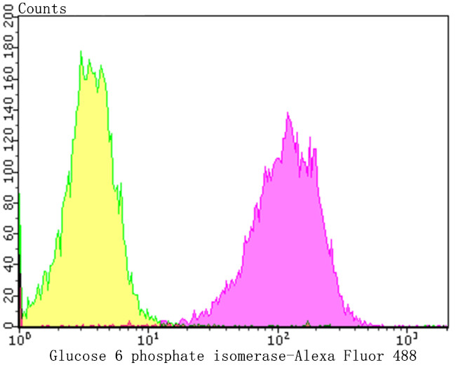 GPI Antibody in Flow Cytometry (Flow)