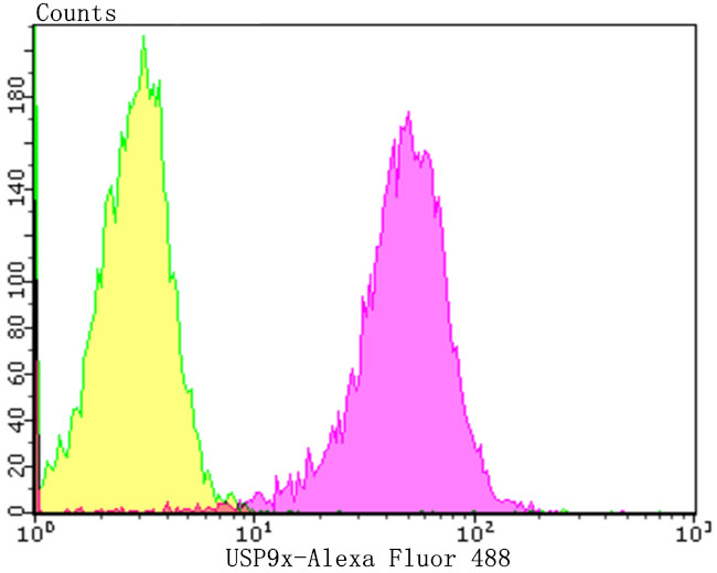 USP9X Antibody in Flow Cytometry (Flow)