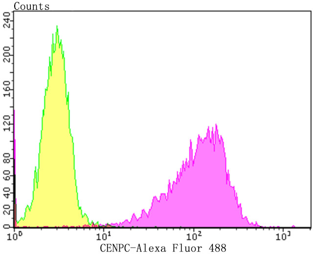 CENPC Antibody in Flow Cytometry (Flow)