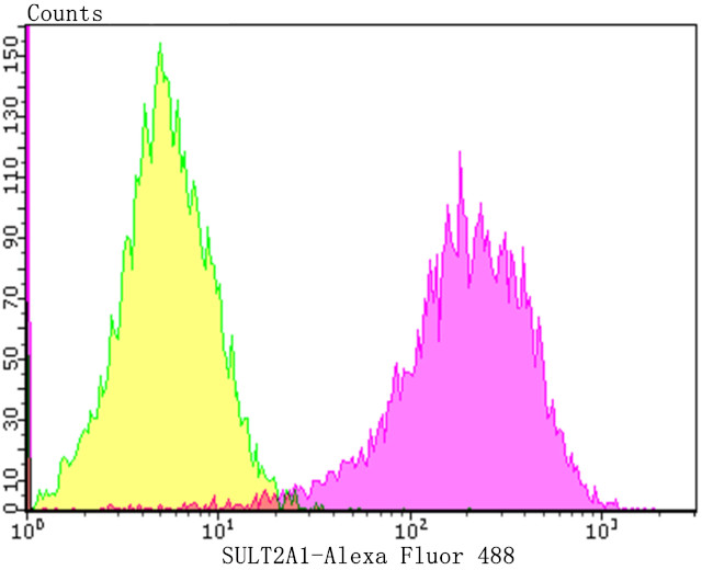 SULT2A1 Antibody in Flow Cytometry (Flow)