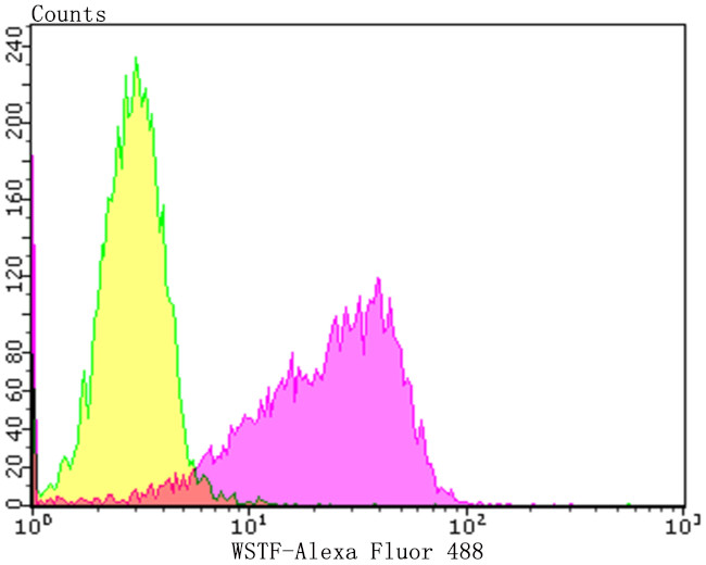 BAZ1B Antibody in Flow Cytometry (Flow)