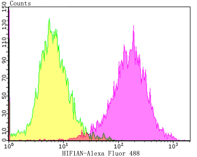 HIF1AN Antibody in Flow Cytometry (Flow)