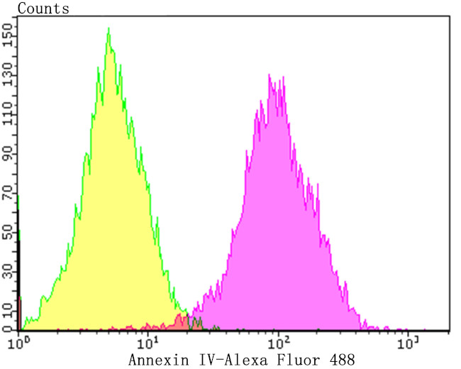 Annexin A4 Antibody in Flow Cytometry (Flow)