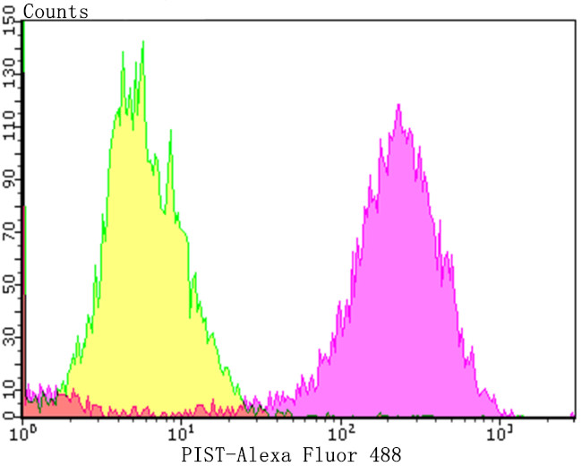 PIST Antibody in Flow Cytometry (Flow)