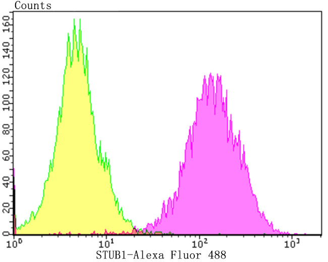 STUB1 Antibody in Flow Cytometry (Flow)