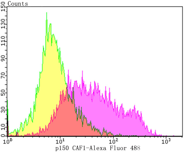 CAF1 p150 Antibody in Flow Cytometry (Flow)