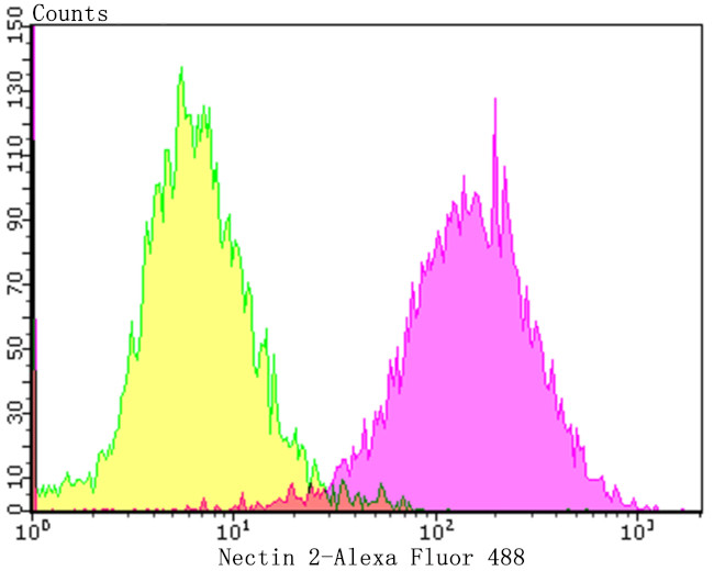 Nectin 2 Antibody in Flow Cytometry (Flow)