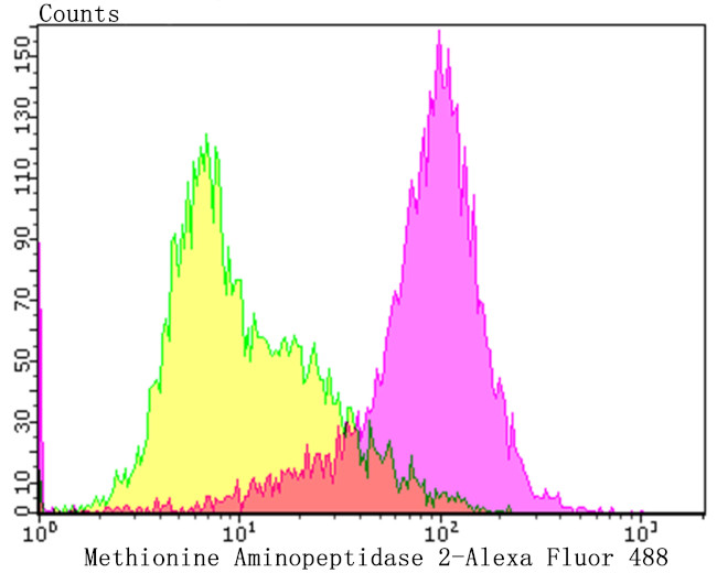 METAP2 Antibody in Flow Cytometry (Flow)