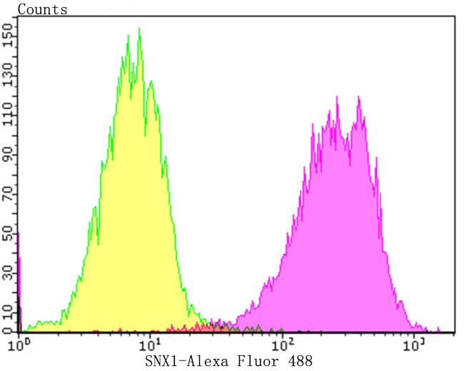 SNX1 Antibody in Flow Cytometry (Flow)