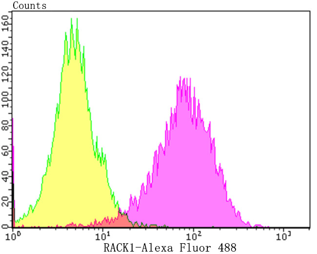 RACK1 Antibody in Flow Cytometry (Flow)