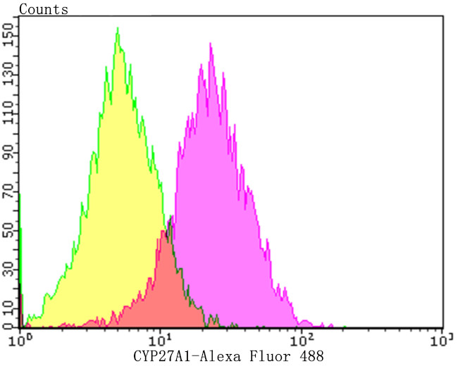 CYP27A1 Antibody in Flow Cytometry (Flow)