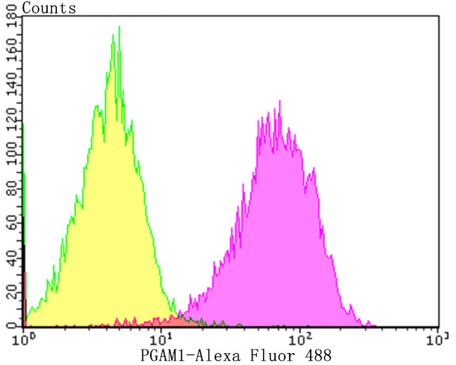 PGAM1 Antibody in Flow Cytometry (Flow)