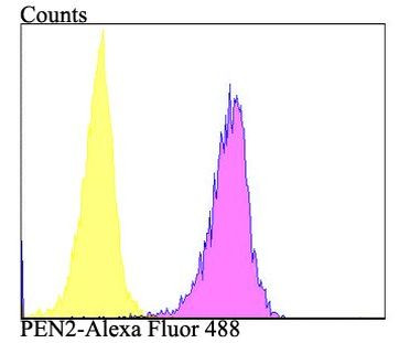 PEN2 Antibody in Flow Cytometry (Flow)