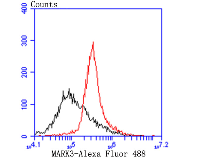 MARK3 Antibody in Flow Cytometry (Flow)