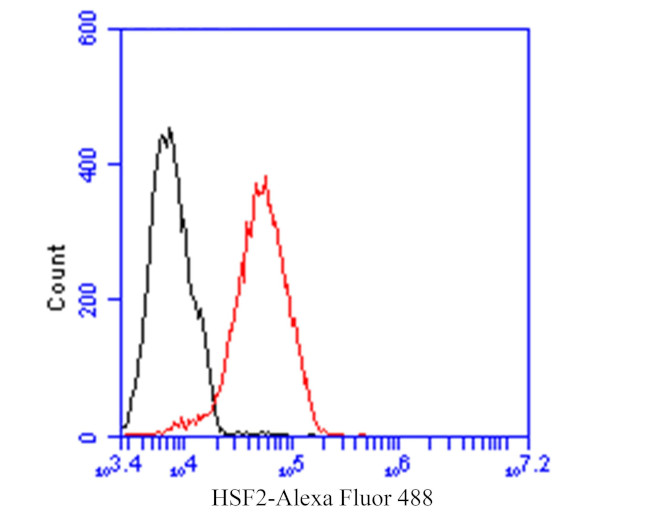 HSF2 Antibody in Flow Cytometry (Flow)