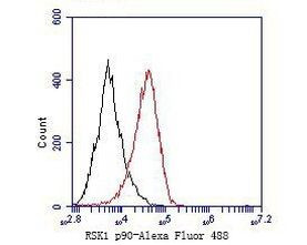 RSK1 Antibody in Flow Cytometry (Flow)
