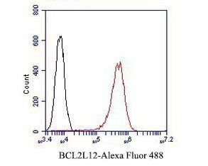 BCL2L12 Antibody in Flow Cytometry (Flow)