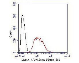 Lamin A/C Antibody in Flow Cytometry (Flow)