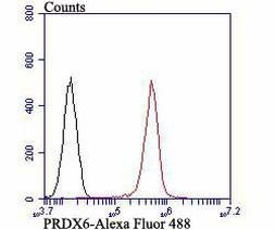 PRDX6 Antibody in Flow Cytometry (Flow)