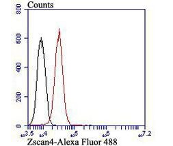 ZSCAN4 Antibody in Flow Cytometry (Flow)