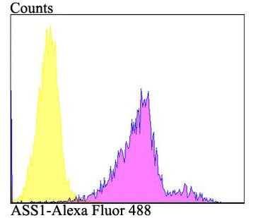 ASS1 Antibody in Flow Cytometry (Flow)