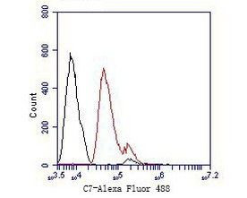 C7 Antibody in Flow Cytometry (Flow)