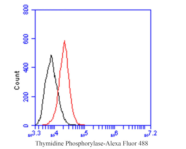 Thymidine Phosphorylase Antibody in Flow Cytometry (Flow)