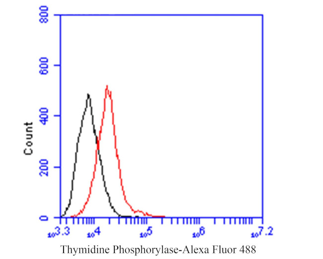 Thymidine Phosphorylase Antibody in Flow Cytometry (Flow)