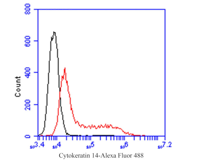 Cytokeratin 14 Antibody in Flow Cytometry (Flow)