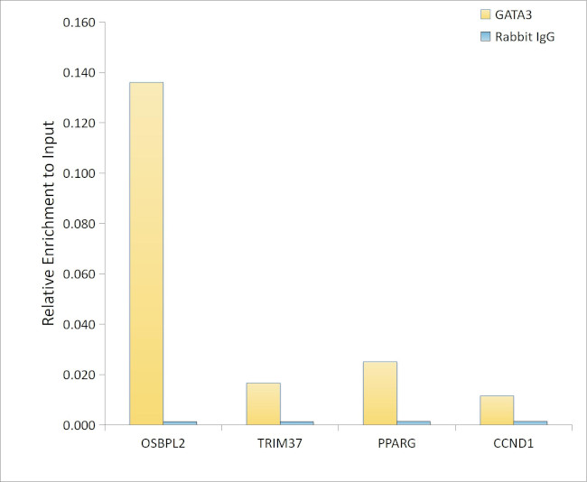 GATA3 Antibody in ChIP Assay (ChIP)