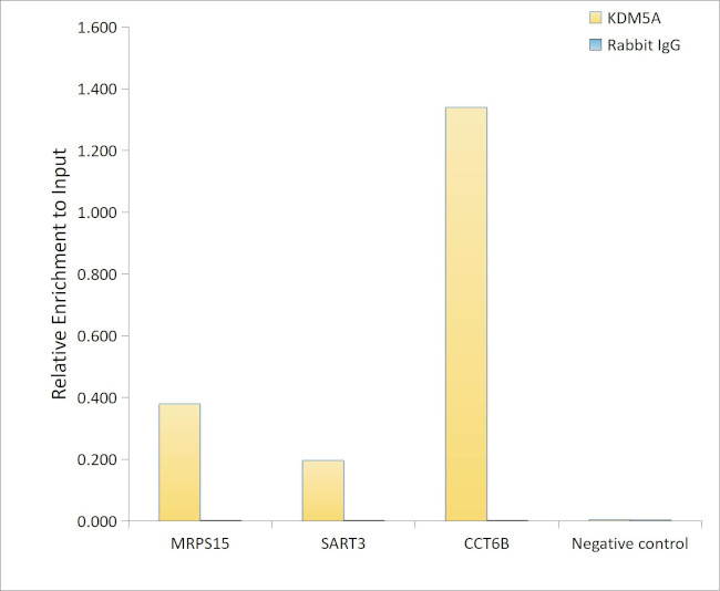 KDM5A Antibody in ChIP Assay (ChIP)