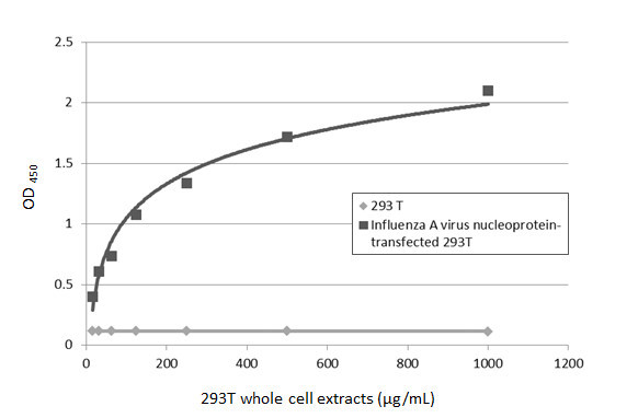 Influenza A H1N1 NP Antibody in ELISA (ELISA)