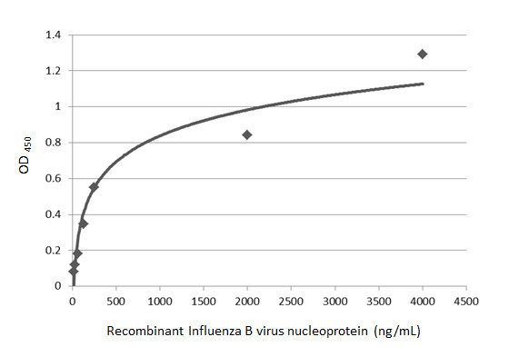 Influenza B NP Antibody in ELISA (ELISA)