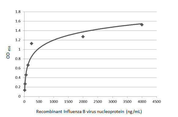 Influenza B NP Antibody in ELISA (ELISA)