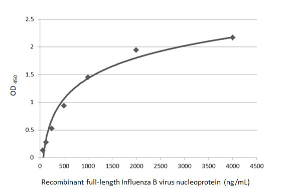 Influenza B NP Antibody in ELISA (ELISA)