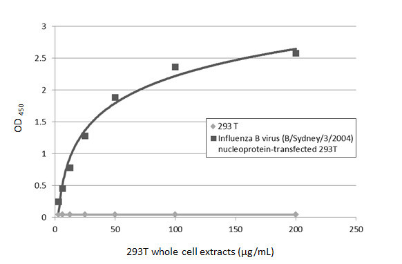 Influenza B NP Antibody in ELISA (ELISA)