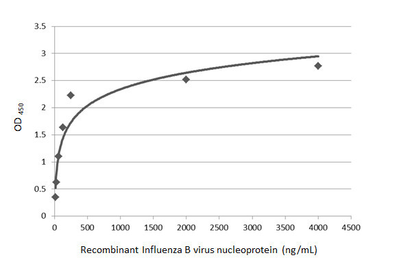 Influenza B NP Antibody in ELISA (ELISA)