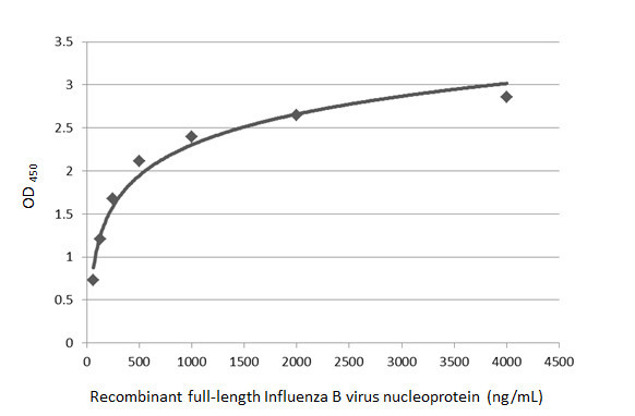 Influenza B NP Antibody in ELISA (ELISA)