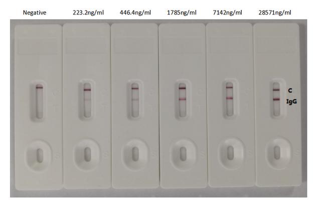 SARS-CoV-2 Spike Protein S1 Chimeric Antibody in Lateral Flow (LF)