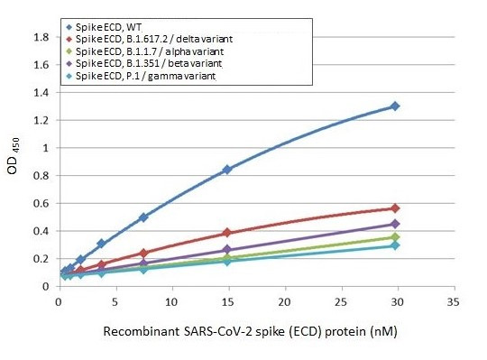 SARS/SARS-CoV-2 Spike Protein S2 Antibody in ELISA (ELISA)