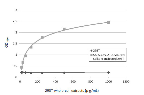 SARS/SARS-CoV-2 Spike Protein S2 Antibody in ELISA (ELISA)