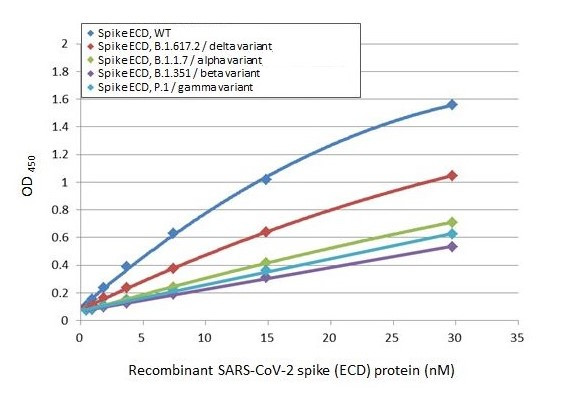 SARS/SARS-CoV-2 Spike Protein S2 Antibody in ELISA (ELISA)