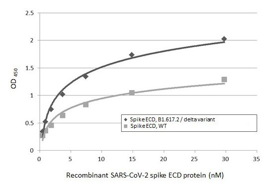 SARS/SARS-CoV-2 Spike Protein S2 Antibody in ELISA (ELISA)