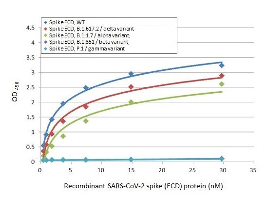 SARS/SARS-CoV-2 Spike Protein S2 Antibody in ELISA (ELISA)